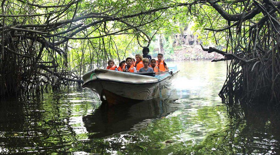 Madu River - Activity in Sri Lanka