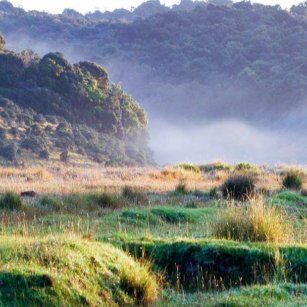 Horton Plains - Top Destination in Sri Lanka