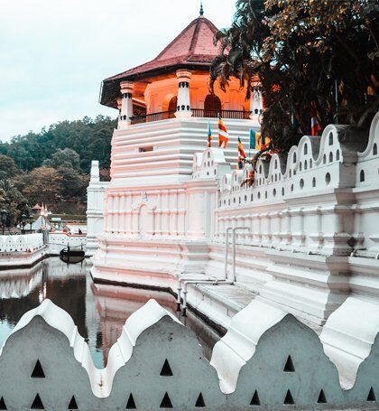 Go Lanka Tour - Best Travel Experience in Sri Lanka