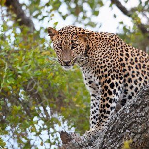 Southeastern Day Tour Experience in Sri Lanka - Go Lanka Tour