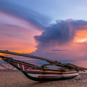 10 Day Experience in Sri Lanka - Go Lanka Tour