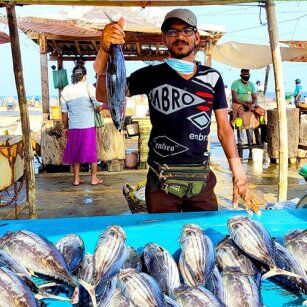 10 Day Experience in Sri Lanka - Go Lanka Tour