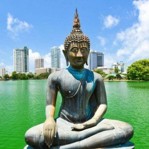 01 Day Experience in Sri Lanka - Go Lanka Tour