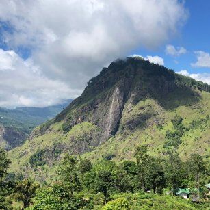 04 Day Experience in Sri Lanka - Go Lanka Tour