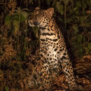 07 Day Experience in Sri Lanka - Go Lanka Tour